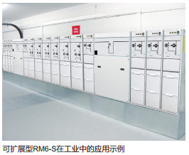 通用开关柜RM6-S